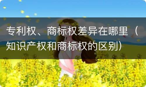 专利权、商标权差异在哪里（知识产权和商标权的区别）