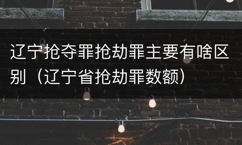 辽宁抢夺罪抢劫罪主要有啥区别（辽宁省抢劫罪数额）