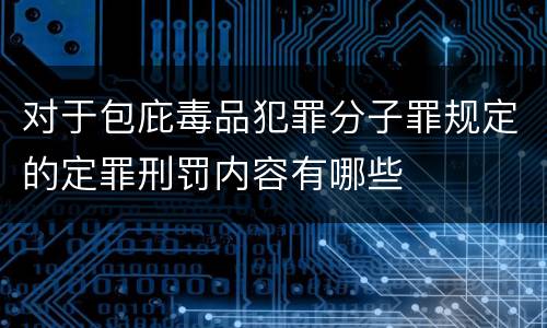 对于包庇毒品犯罪分子罪规定的定罪刑罚内容有哪些