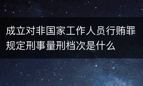成立对非国家工作人员行贿罪规定刑事量刑档次是什么