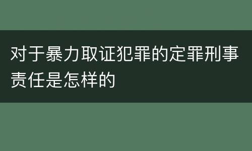 对于暴力取证犯罪的定罪刑事责任是怎样的