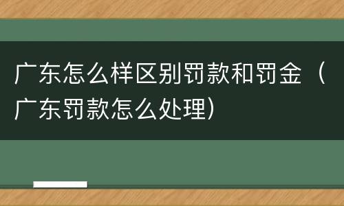 广东怎么样区别罚款和罚金（广东罚款怎么处理）