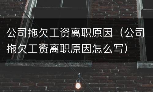 公司拖欠工资离职原因（公司拖欠工资离职原因怎么写）
