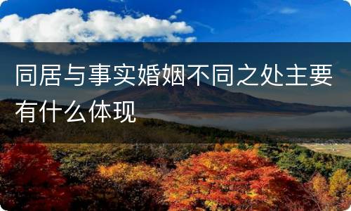 同居与事实婚姻不同之处主要有什么体现