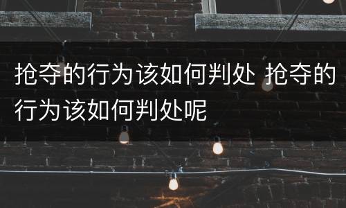抢夺的行为该如何判处 抢夺的行为该如何判处呢