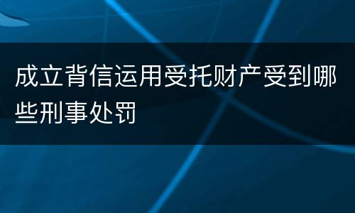 成立背信运用受托财产受到哪些刑事处罚