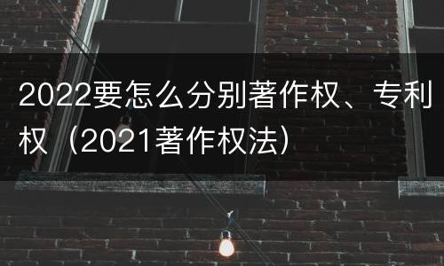 2022要怎么分别著作权、专利权（2021著作权法）
