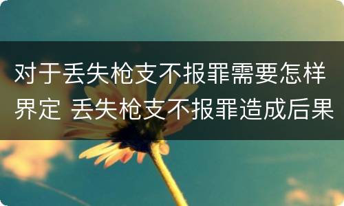 对于丢失枪支不报罪需要怎样界定 丢失枪支不报罪造成后果