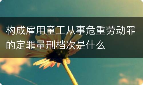 构成雇用童工从事危重劳动罪的定罪量刑档次是什么