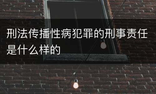 刑法传播性病犯罪的刑事责任是什么样的
