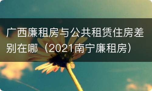广西廉租房与公共租赁住房差别在哪（2021南宁廉租房）
