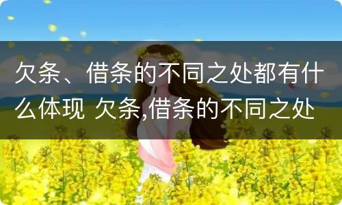 欠条、借条的不同之处都有什么体现 欠条,借条的不同之处都有什么体现呢