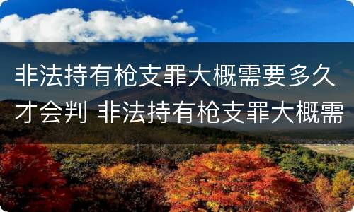 非法持有枪支罪大概需要多久才会判 非法持有枪支罪大概需要多久才会判刑