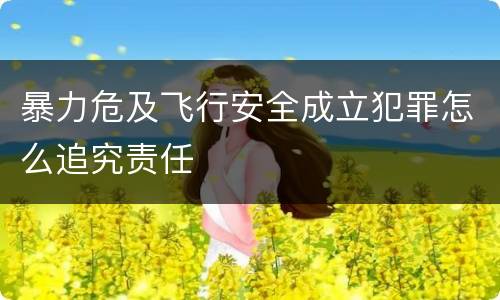 暴力危及飞行安全成立犯罪怎么追究责任