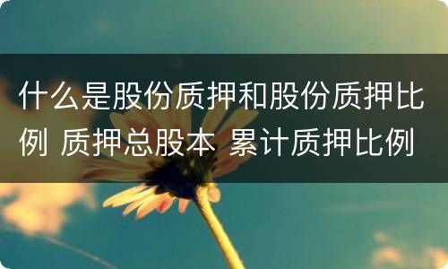 什么是股份质押和股份质押比例 质押总股本 累计质押比例