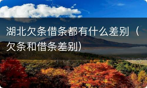 湖北欠条借条都有什么差别（欠条和借条差别）