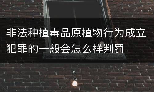 非法种植毒品原植物行为成立犯罪的一般会怎么样判罚