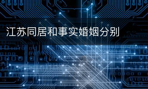 江苏同居和事实婚姻分别
