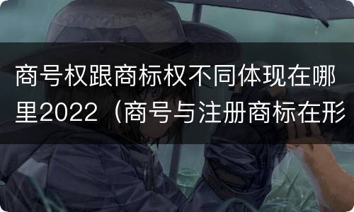 商号权跟商标权不同体现在哪里2022（商号与注册商标在形式上是一样的）