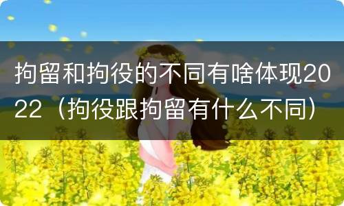 拘留和拘役的不同有啥体现2022（拘役跟拘留有什么不同）
