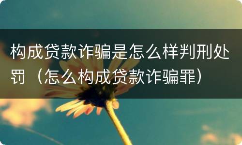 构成贷款诈骗是怎么样判刑处罚（怎么构成贷款诈骗罪）