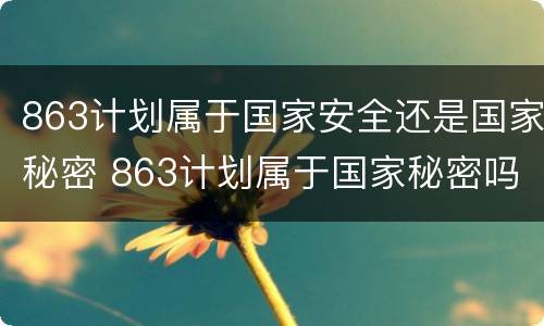 863计划属于国家安全还是国家秘密 863计划属于国家秘密吗