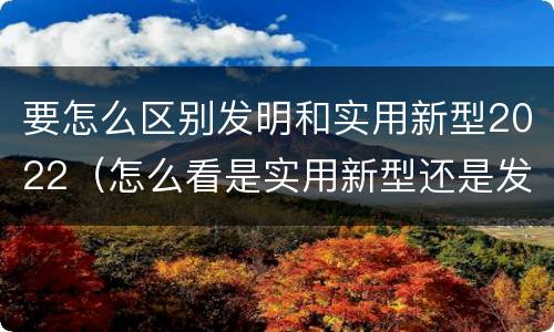 要怎么区别发明和实用新型2022（怎么看是实用新型还是发明）