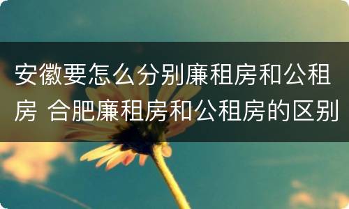 安徽要怎么分别廉租房和公租房 合肥廉租房和公租房的区别