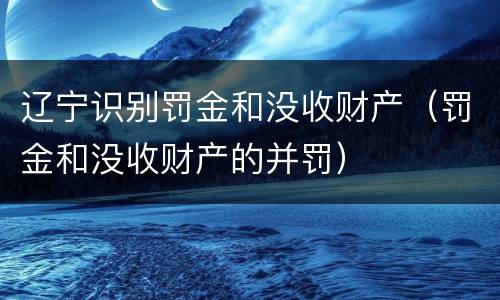辽宁识别罚金和没收财产（罚金和没收财产的并罚）