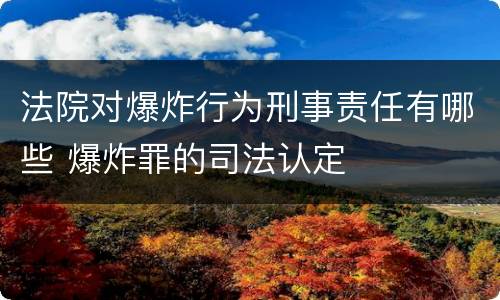 法院对爆炸行为刑事责任有哪些 爆炸罪的司法认定