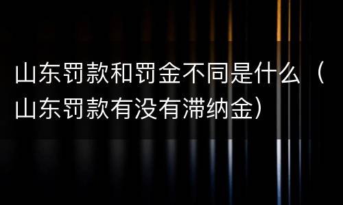 山东罚款和罚金不同是什么（山东罚款有没有滞纳金）