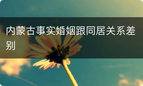 内蒙古事实婚姻跟同居关系差别
