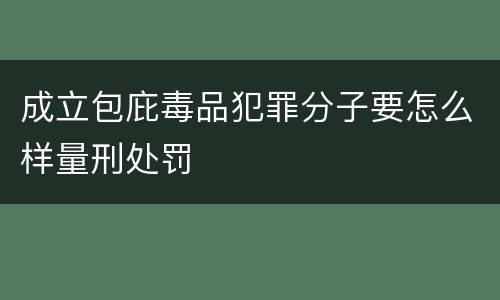 成立包庇毒品犯罪分子要怎么样量刑处罚