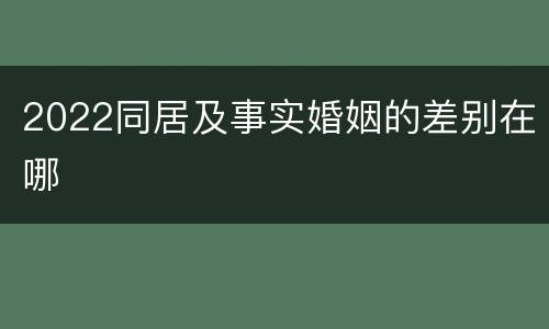 2022同居及事实婚姻的差别在哪
