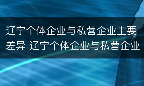 辽宁个体企业与私营企业主要差异 辽宁个体企业与私营企业主要差异有哪些