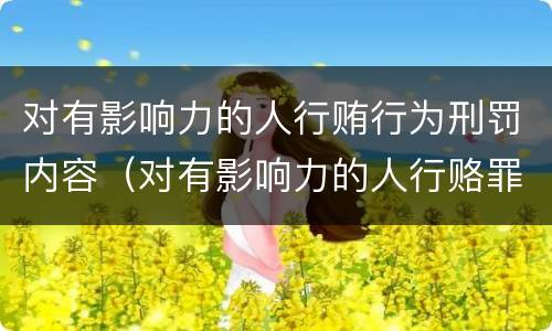 对有影响力的人行贿行为刑罚内容（对有影响力的人行赂罪数额）