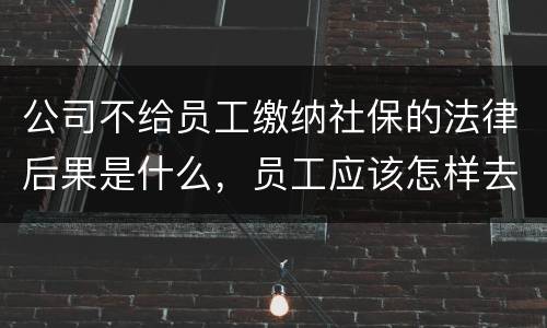 公司不给员工缴纳社保的法律后果是什么，员工应该怎样去应对