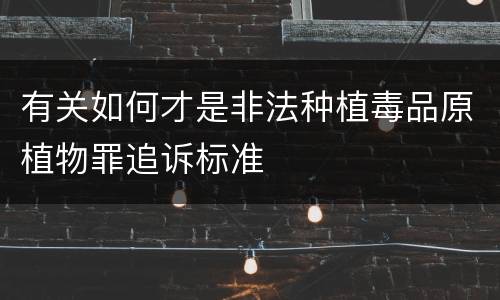 有关如何才是非法种植毒品原植物罪追诉标准