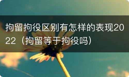 拘留拘役区别有怎样的表现2022（拘留等于拘役吗）