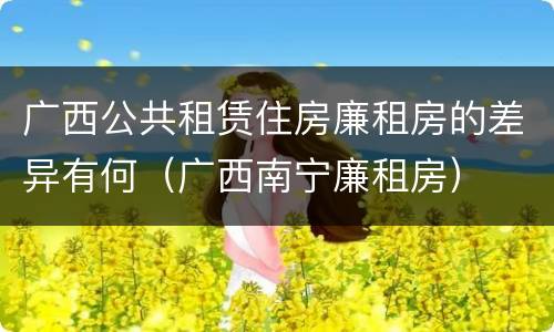 广西公共租赁住房廉租房的差异有何（广西南宁廉租房）