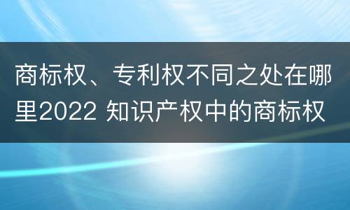 商标权、专利权不同之处在哪里2022 知识产权中的商标权
