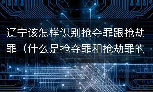 辽宁该怎样识别抢夺罪跟抢劫罪（什么是抢夺罪和抢劫罪的区别）