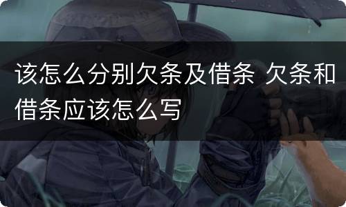 该怎么分别欠条及借条 欠条和借条应该怎么写
