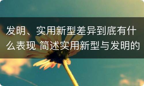 发明、实用新型差异到底有什么表现 简述实用新型与发明的关系?