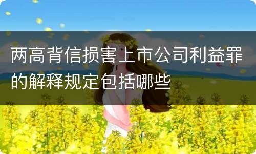 两高背信损害上市公司利益罪的解释规定包括哪些