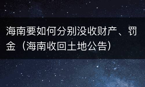 海南要如何分别没收财产、罚金（海南收回土地公告）
