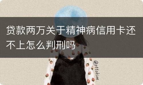 贷款两万关于精神病信用卡还不上怎么判刑吗