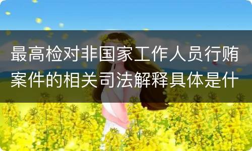 最高检对非国家工作人员行贿案件的相关司法解释具体是什么重要内容