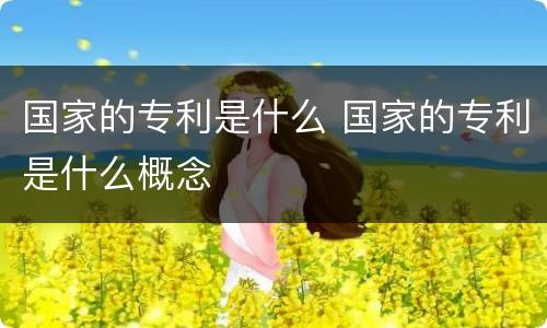 国家的专利是什么 国家的专利是什么概念