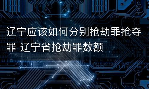 辽宁应该如何分别抢劫罪抢夺罪 辽宁省抢劫罪数额